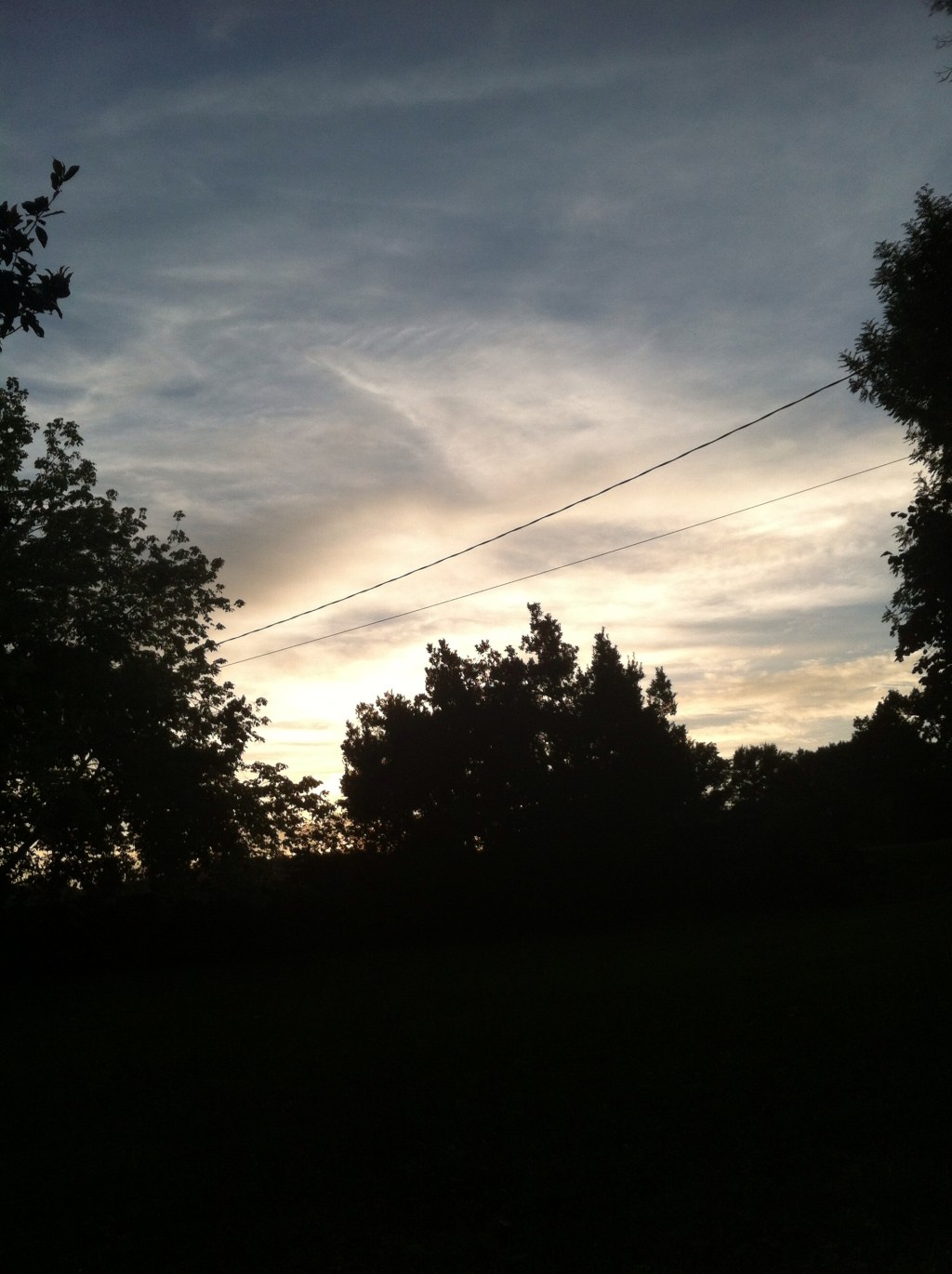 Les Oiseaux Dans Mon Ventre.