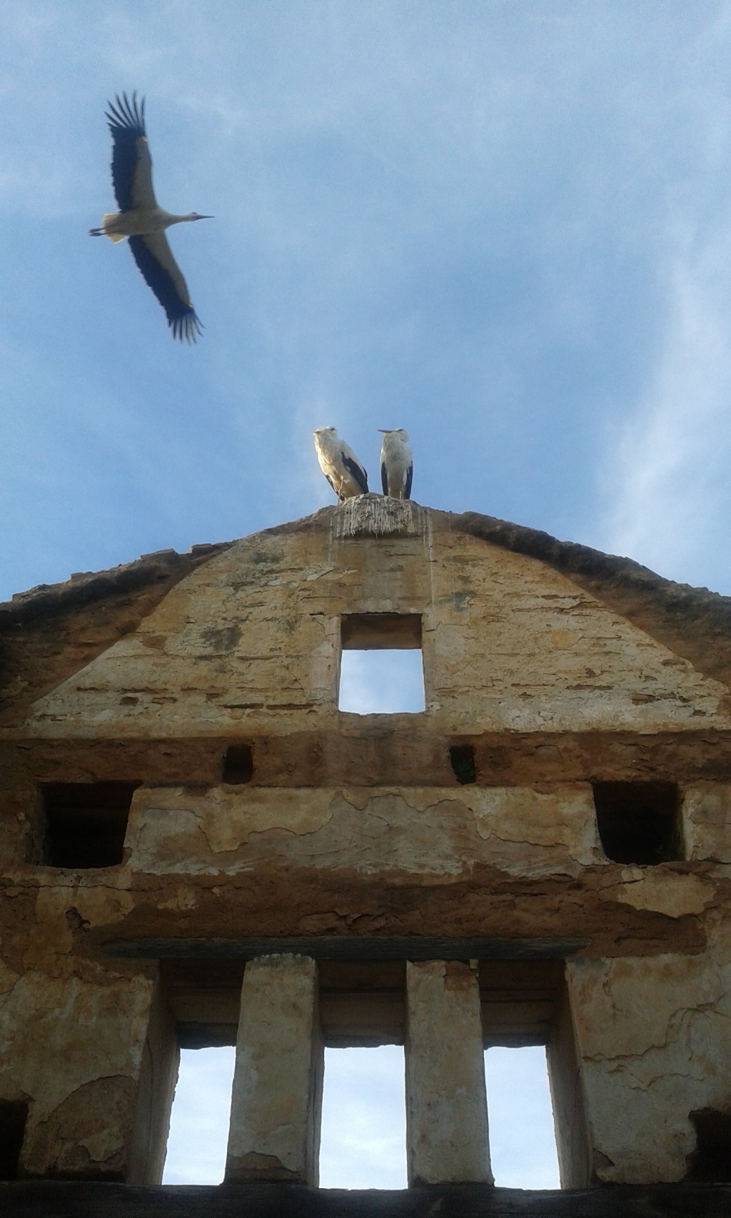 Les Formes De&nbsp;L&rsquo;Amour