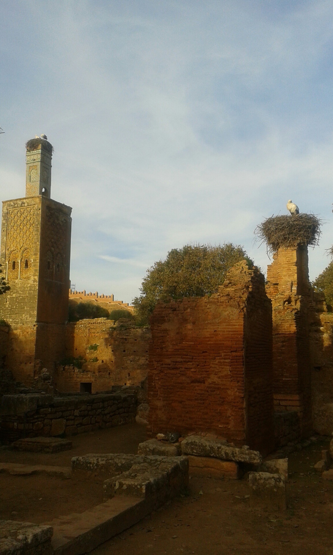 20170102_161355_resized